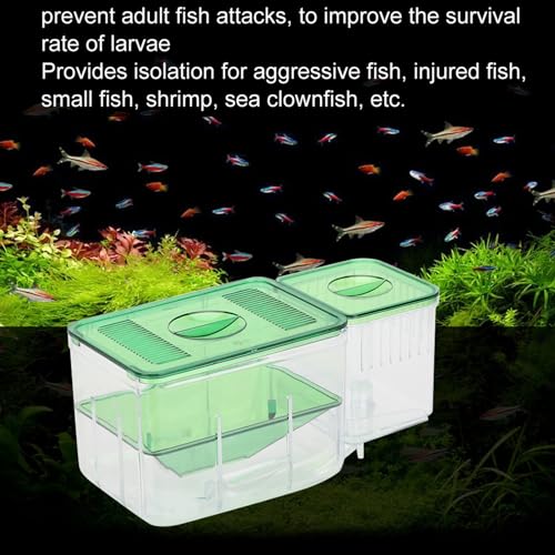 Aquarium Fish Breeding Box, Double - Layer Isolation Incubator for Small Fish Shrimp, Newborn Fry Spawning Nursery with Insert Tray for Betta Guppies Clownfish