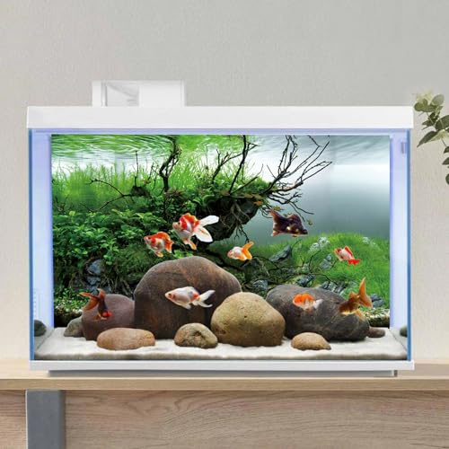 AWERT 30x18 inches Branches Fish Tank Background Seaweed Aquarium Background River Bed & Lake Aquarium Background Vinyl Background | AWERT Aquatic Plant Seaweed River Bed & Lake Aquarium Background Vinyl - size: 30x18in/75x45cm