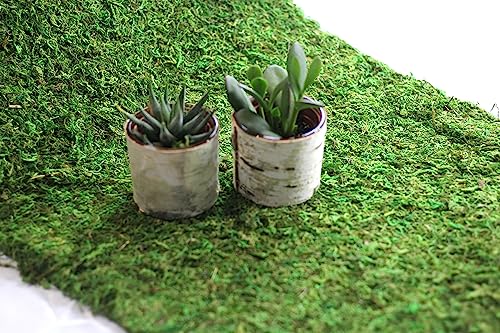 Preserved Moss Runner and Mats (18in x 25ft Runner) - color: 18in X 25ft Runner