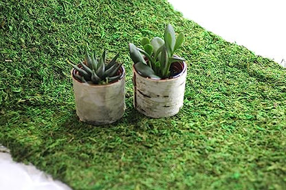 Preserved Moss Runner and Mats (18in x 25ft Runner) - color: 18in X 25ft Runner