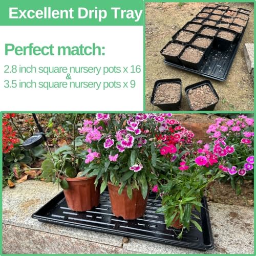 Shallow 1020 Nursery Flat Trays -10 Pack, 1.8" Height, Specialized for Holding 72-Cell Plug Seedling Trays, No Holes, Ideal for Seed Starting and Planting - size: shallow tray 10 pack
