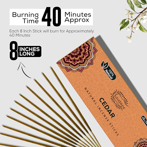 Raajsee Cedar Incense Sticks, 100%-Natural Charcoal Free Organic Non Toxic Clean Burning Handmade Insence Sticks 100 gm Pack, Meditation Gifts – Spritual Cleansing - color: Cedar