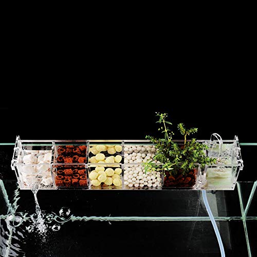 6 Grids Acrylic Fish Tank Filter Box External Aquarium Water Filter Case Transparent Acrylic Hang On Filter Box Aquarium Accessory for Restaurant Home Hotel, Without Pump (6 Grids)