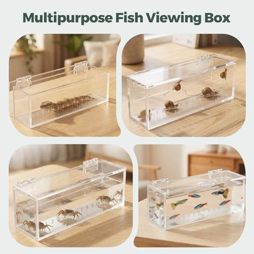 Fish Viewing Box,Acrylic Fish Breeding Box,Fishing Photo Tank,Hatching Boxes, Clear Micro Landscape Fish Tank with Scale