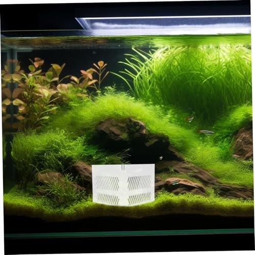 Acrylic Fish Tank Isolation Box Divider Tray for Clean Water Aquarium Partition Pump Guards