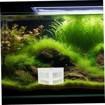 Acrylic Fish Tank Isolation Box Divider Tray for Clean Water Aquarium Partition Pump Guards