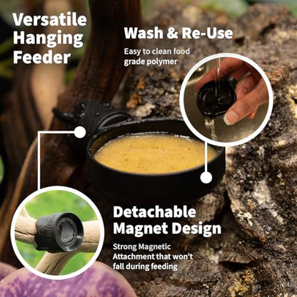 Pangea Microdish Kit for Crested Gecko Food 2.75in x 2.6in (L Branch Mount) | Small Dish for Anoles and other Reptiles, Zip Tie Attachment Water Bowl - size: L Branch Mount