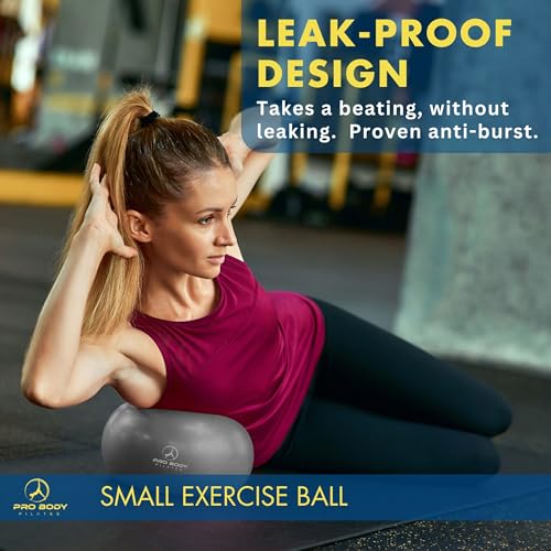 ProBody Pilates 볼 펌프 포함 소형 운동 공, 22.9cm(9인치) 바레 볼, 미니 소프트 요가 볼, 안정성을 위한 운동 공, 바, 피트니스, 복근, 코어, 물리 치료 및 물리 치료 공, 가정 체육관 및 사무실 - color: 실버