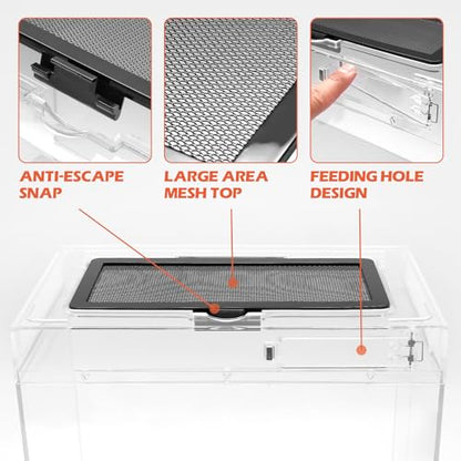 AZV Reptile Tank Starter Kit,8 Piece Escape Proof Hermit Crab Cage XLarge | All In One Lizard Terrarium,Multi-Vent Compatible Gecko Habitat,Clear PC Material Frog Enclosure,Easy-Clean Waterproof Base - size: XLarge(19.5*10.5*9.4IN)