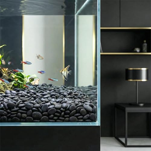 Royal Imports River Rocks, Aquarium Gravel – Black 0.5"- 0.75" - 30 lbs | Decorative Ornamental Vase Filler Pebbles for Potted Plants, Terrariums, Vases, Succulents, Fish Tank Gravel, DIY & Crafting - size: Small - 30 lbs, style: Black