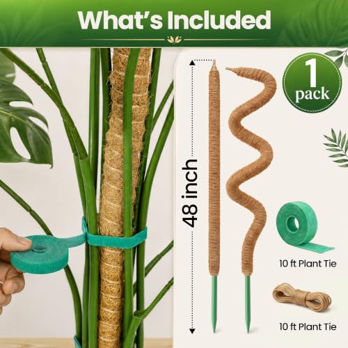 K-Brands 48'' Bendable Moss Pole Monstera Plant Support - Coconut Palm Fiber - Brown - Rectangular - Climbing Plant Support Structure - size: 1-Pack (48 in)