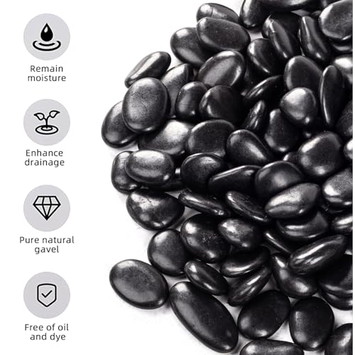 10lb Black River Rock, Suitable for Aquarium Gravel, vase Decorative Stone, Plant Rock, Rock for houseplants