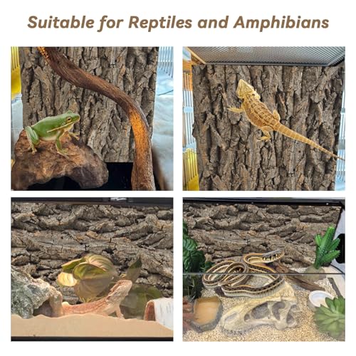 PINVNBY Natural Cork Bark Terrarium Background,15.74x11.81 Inches Reptile Tank Backdrop 3D Bearded Dragon Tank Climbing Wall Habitat Decor for Gecko Lizard Tortoise Frog Chameleon(1 PCS) - size: 【1 PCS】