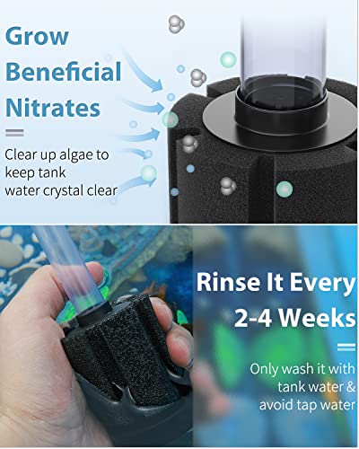 Pawfly Aquarium Air Pump with Nano Bio Sponge Filter Kit Air Control Valve Airline Tubing and Check Valve Accessories - style: 3-20 Gal