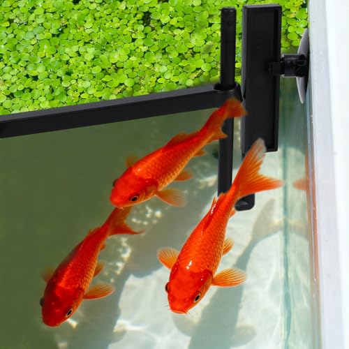 Aquarium Floating Plant Barrier, Intercepting Floating Plant Corral Fish Aquarium Accessories for Aquarium Feeding Ring, Aquarium Divider for Aquarium Holder Accessories for All Aquatic Plants