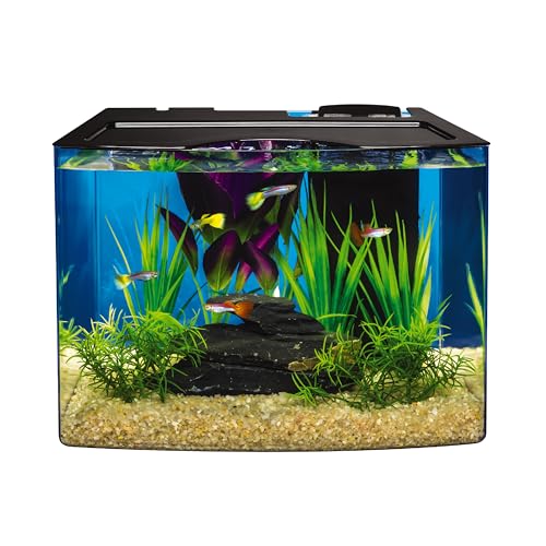 Tetra Crescent STEM 3 Gallon Fish Tank Kit | Aquarium Kit Includes STEM Activity Booklet, White LEDs, 3 Gal Curved Tank, Filter & Cartridge, Test Strips, Thermometer - size: 3 gallon