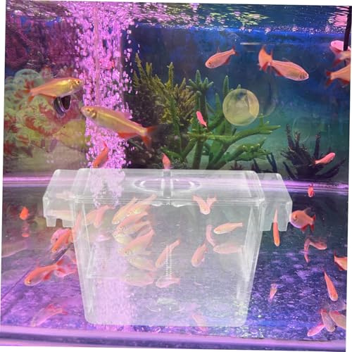 Fish Isolation Box for Betta Fine Mesh Breeding Incubator with Durable for Fish Shrimp and Newborns Easy Attachment to Aquariums