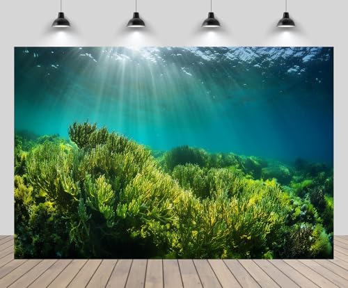6ftx4ft Underwater Seascape Backdrop Under The Sea Aquarium Algae on The Ocean Floor with Natural Sunlight Background Mermaid Theme Birthday Party Decorations Baby Shower Photo Props - size: 6x4FT