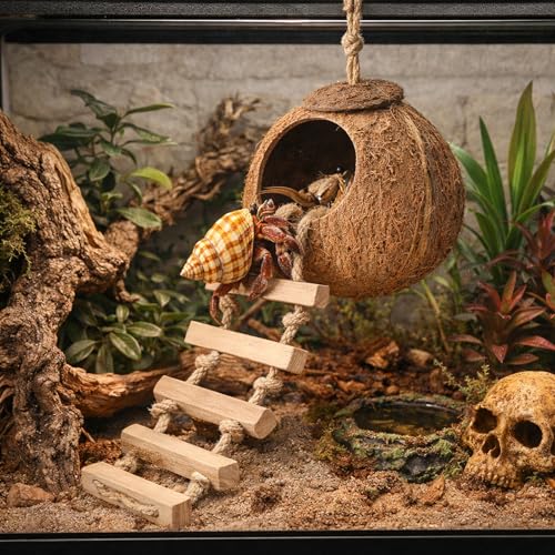 HERCOCCI Gecko Tank Accessories, Hermit Crab Toys Coconut Shell Natural Coconut Husk Hut with Climbing Ladder with Suction Cup for Leopard Gecko Snake Reptiles