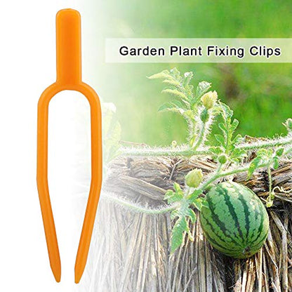 100PCS Gardening Plant Fixing Clips, Gardening Fixing Vine Fixer, Watermelon Strawberry Fork Reusable, Plant Fixing Clip, Plastic Plant Fixer of Farming Fixer Tool