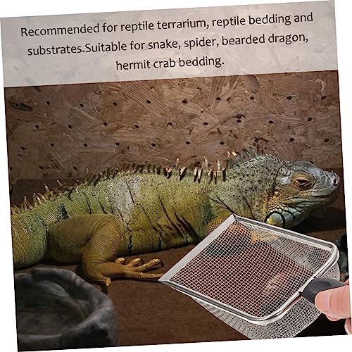 KESYOO 2PCS Stainless Steel Reptile Substrate Shovels Portable Litter Scooper for Turtles Lizards and Snakes Easy Clean Poop Cleaner for Reptiles