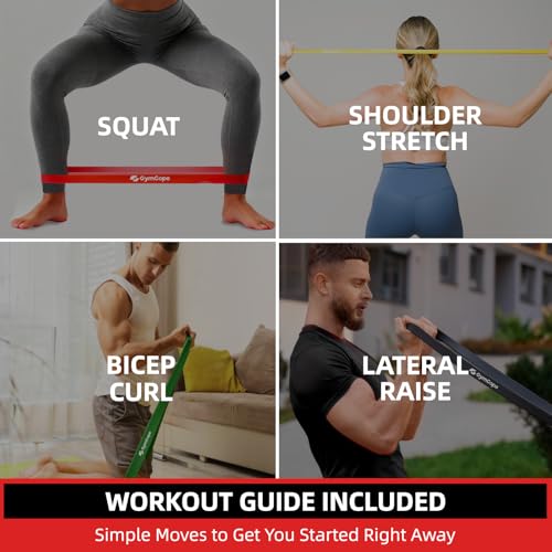 GymCope Pull Up Resistance Bands - Assistance Bands Sets of 3/4/5 for Men & Women, Heavy Duty Workout Exercise Bands for Body Stretching, Muscle Training, Instruction and Carry Bag Included - color: 3-Pack (15~50lbs)