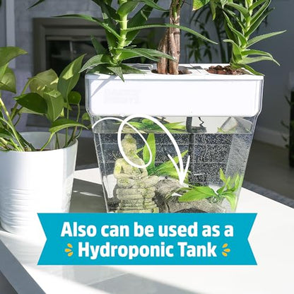 Back to the Roots Indoor Aquaponic Garden - 3 Gallon Self Watering, Mess-Free Planter and Self-Cleaning Fishtank for Herbs, Microgreens, Bamboo, Succulents, and Houseplants, support Fish - size: Deluxe, style: Aquaponic Fish Tank