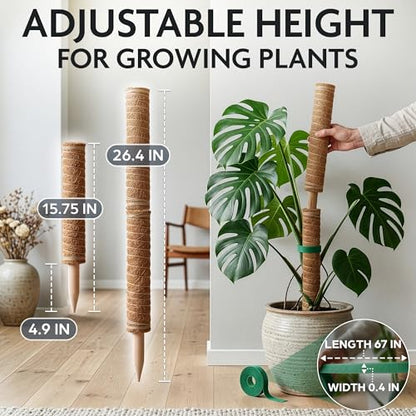 2 Pcs Moss Sticks for Indoor Plants Climbing with Coconut Fiber and Plant Tie Tape - 15.75 Inch Stackable Small Moss Pole for Monstera, Pothos, Philodendron, Money Plants & Indoor Houseplant Vines