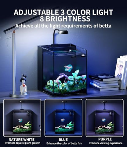 2 Gallon Glass Fish Tank Kit with Hidden Filtration Light Lid Rimless | Black Background, Dry-wet Separation Filtration, Self-cleaning, Ultra-quiet, Adjustable Water Flow, for Betta Shrimp Guppy