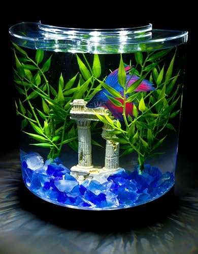 Tetra 1 Gallon Half Moon Small Fish Tank w/Movable LED Light, for Betta & Gold Fish, Aquarium | (Pack of 3) - size: 9"W,10.5"H,4.5"D (Pack of 3)