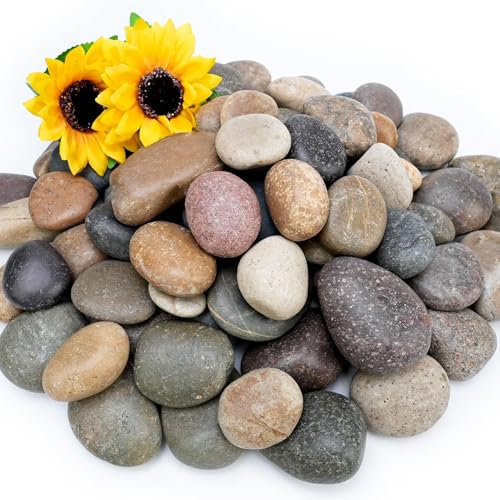 NUPICK 6lb Mexican Beach Pebbles, 2-3" Large River Rocks for Landscaping | Smooth Garden Rocks for Outdoor Paving, Natural Pebbles for Indoor Plants, Decorative Stones for Planter, Fish Tank, Fountain - color: Mixed, size: 2-3", 6lb