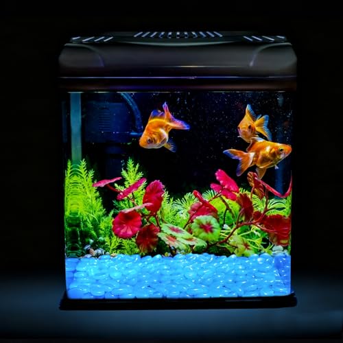 Oubest Fish Tank Rocks Glow Blue/Glow in The Dark Pebbles for Garden/Fish Tank/Aquarium/Plant Pots/Bonsai Walkway/Driveway 200pcs - color: blue