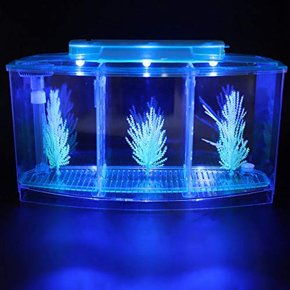 Acrylic Fish,Bowl, Aquarium Fish LED Acrylic Three Divisions Breeding Isolation Box for Small Fishes (Blue)