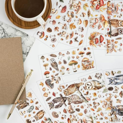 arricraft 10 Pcs Colorful Owl Theme Cup Printing UV Transfer Papers, 10 Styles Mushrooms Leaves Pine Cones Feathers UV DTF Cup Wrap Stickers for 16 OZ Glass Cups Crafts 9.5x4.3inch - style: Colorful Owl Theme