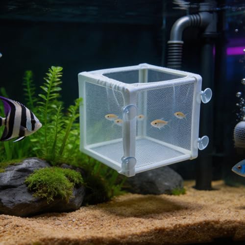 MY MIRONEY 6.3" x 5.63" x 6.22" Fish Incubator Mesh Box Pack of 2 | Aquarium Fish Breeder Box White Nylon Mesh Juvenile Fish Separation Net Fish Fry Hatchery with Suction Cups - style: 6.3" x 5.63" x 6.22"; White; without Divider