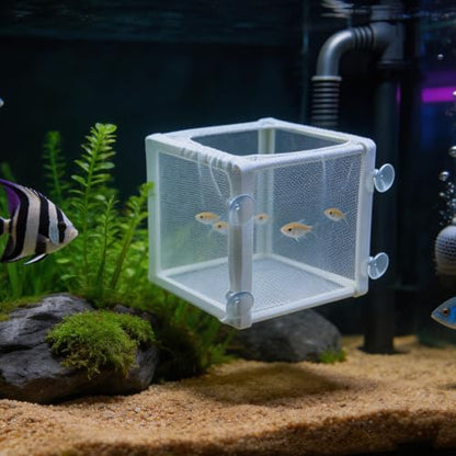 MY MIRONEY 6.3" x 5.63" x 6.22" Fish Incubator Mesh Box Pack of 2 | Aquarium Fish Breeder Box White Nylon Mesh Juvenile Fish Separation Net Fish Fry Hatchery with Suction Cups - style: 6.3" x 5.63" x 6.22"; White; without Divider