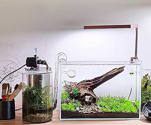 Allcolor Artisan Grade Ultra Clear Rimless Aquarium Tank (10GaI) | Low Iron Glass Fish Tank for Professional Aquascaping and Planted Layouts, 6-60 Gallons (10GaI - Top Glass Canopy) - size: 10Gal 18.8"L×11"W×11.8"H