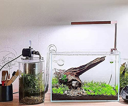 Allcolor Artisan Grade Ultra Clear Rimless Aquarium Tank (10GaI) | Low Iron Glass Fish Tank for Professional Aquascaping and Planted Layouts, 6-60 Gallons (10GaI - Top Glass Canopy) - size: 10Gal 18.8"L×11"W×11.8"H