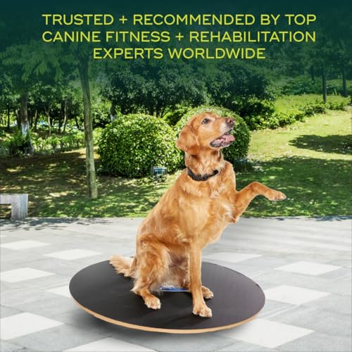 FitPAWS Wobble Board - Dog Balance Training Equipment for Core Strength & Stability Canine Fitness & Rehabilitation Tool 36" - size: 36"