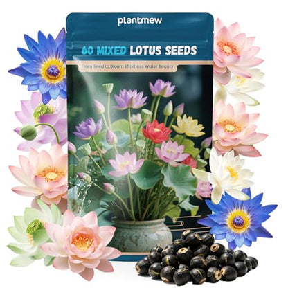 Lotus Seeds for Planting in Water – 60 PCS Mixed Bowl Lotus Seeds, Water Lily & Water Plants for Ponds, Live Pond Plants for Outdoor Ponds, Floating Pond Plants – Indoor Bonsai, Garden, Koi Pond - size: 60pcs Bowl Lotus Seeds for Panting