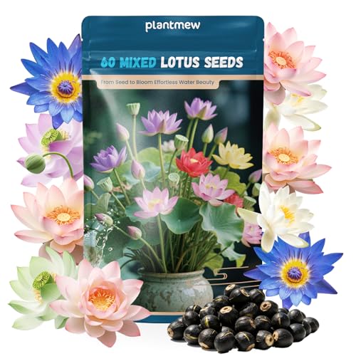 Lotus Seeds for Planting in Water – 60 PCS Mixed Bowl Lotus Seeds, Water Lily & Water Plants for Ponds, Live Pond Plants for Outdoor Ponds, Floating Pond Plants – Indoor Bonsai, Garden, Koi Pond - size: 60pcs Bowl Lotus Seeds for Panting