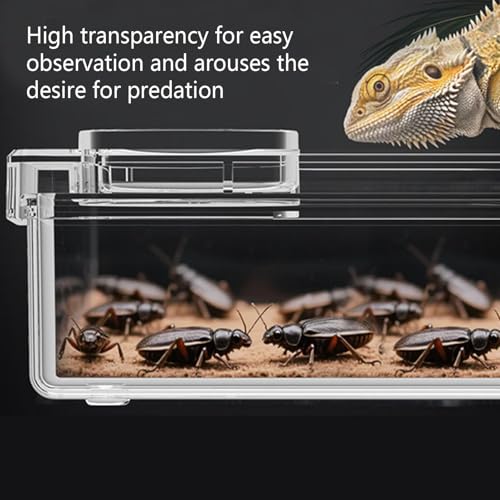 Anti-Escape Crested Gecko Food Dish, Transparent Chameleon Feeding Bowl, Acrylic Reptile Amphibian Habitat Feeders, Pet Supplies, for Tortoise Frog Snake Terrarium Lizard Spider - color: White