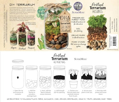 Portland Terrarium kit - DIY Mason Jar Terrarium Kit - color: Clear
