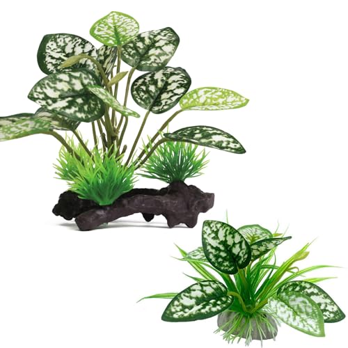 Moonorange Reptile Artificial Plants, Terrarium Plants Decorations Supplies, Aquarium Fish Tank Plant, Amphibian Habitat Hideout Tank Accessories (M Set-2pcs/B) - color: Ms Set-b