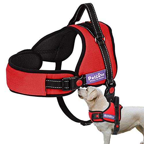 PetLove Dog Harness, Adjustable Soft Leash Padded No Pull Dog Harness for Small Medium Large Dogs, Red - color: Red, size: XXS