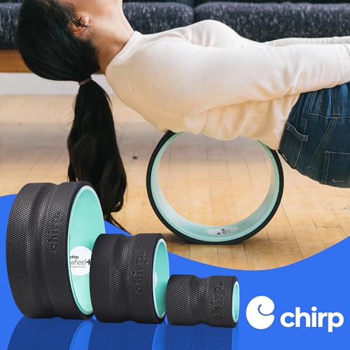 Chirp Wheel+ Foam Roller 3-Pack, Back & Neck Pain Relief, Mint | Back Roller Wheel Set, Foam Roller for Back Pain, Spine Decompression, 4/6/10 in, Neck and Muscle Recovery - size: 3 Pack