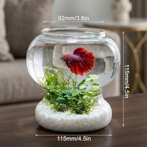 Mini Plastic Fish Bowl 25 oz Decorative Small Fish Tank Unbreakable Aquarium Starter Kit for Centerpiece Vases Party Decorations (2026 New Model)