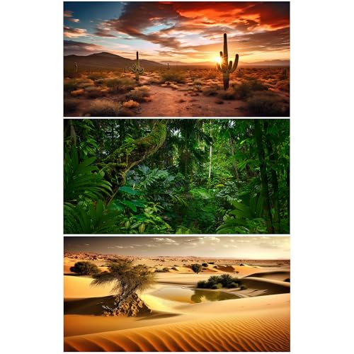 3 Pack Reptile Habitat Background Sunset Desert Terrarium Background Jungle Forest Terrarium Background Gobi Sunshine Cactus Stone Tank Terrarium Background Rainforest Reptile Background 36x18in