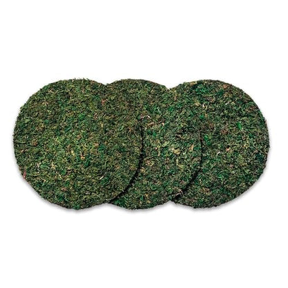 SuperMoss (26305) Moss Soil Topper | Preserved Green Mountain Moss with Mesh Backing | Indoor Plant Soil Cover for Flowerpots, Orchid Pots, Terrariums, and Craft Décor, 8” Set of 3, Green