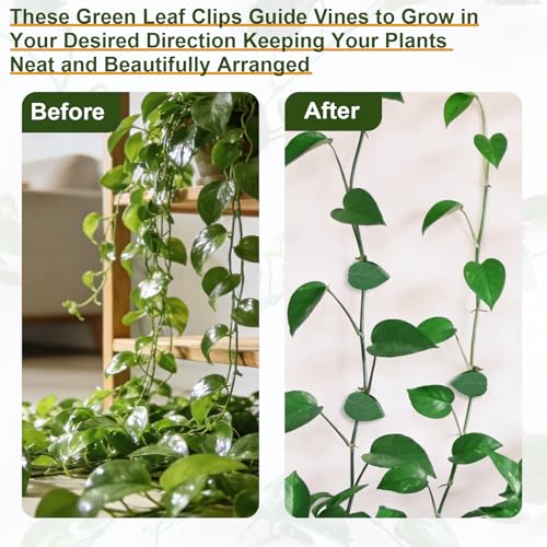 HNHMT 60 pcs Plant Wall Clips with 72 Pieces Acrylic Adhesive Sticker - Plant Climbing Wall Fixture Clips Plant Fixer Invisible Wall Vines Fixing Clips Self-Adhesive Hook Plant Clips